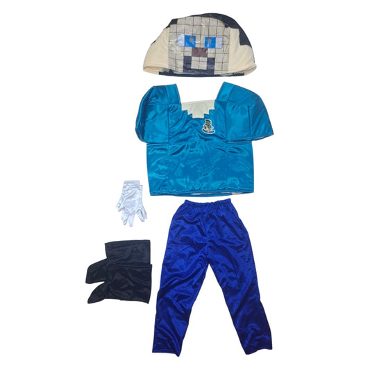 DISFRAZ PARA NIÑOS SERIE O VIDEOJUEGO ALDEANO MINECRAFT